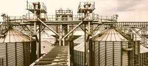 Plant modelling at versasia infosoft